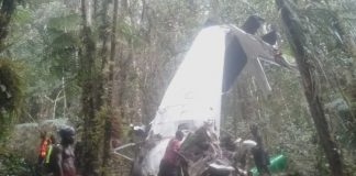 Pesawat Rimbun Air PK-OTW Ditemukan Hancur di Bukit, Seluruh Kru Meninggal