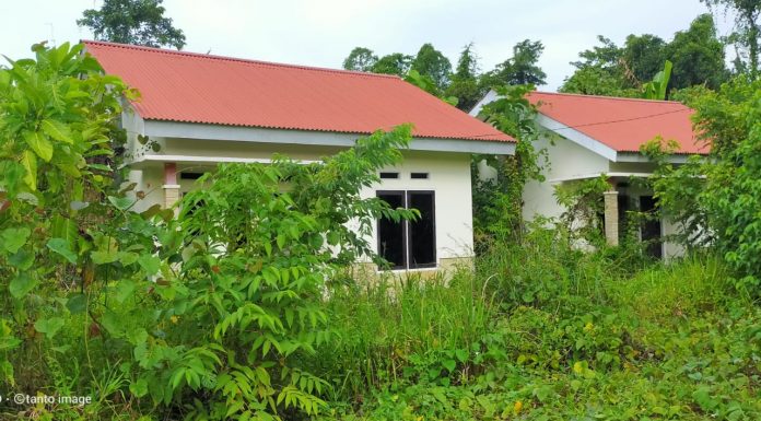 Puluhan Rumah Bagus Yang Dibangun Pemerintah di Korano Jaya Ini Terbengkalai, Ada Apa?