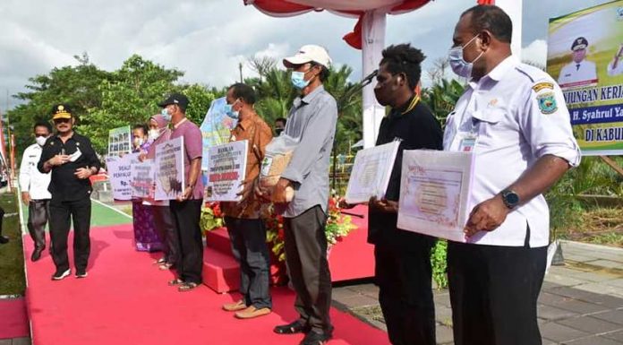 Di Kabupaten Sorong, Bantuan 20 Ekor Sapi dari Kementerian Pertanian Diduga Dimainkan