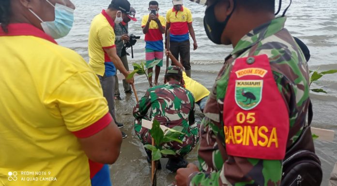 Selamatkan Garis Pantai Angris, Babinsa Wasior Tanam Mangrove