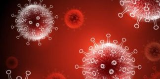 Kemenkes: Situasi Influenza Subclade K Terkendali, Kasus Terbanyak di Tiga Provinsi