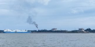 Mendambakan Industri Hulu Migas Ramah Lingkungan Melalui Spirulina