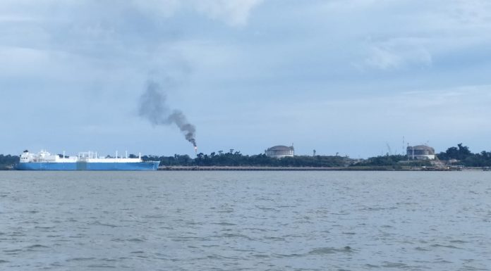 Mendambakan Industri Hulu Migas Ramah Lingkungan Melalui Spirulina