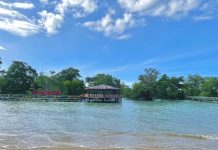 Didaulat Sebagai Program Terbaik, Ekowisata Mangrove Pertamina Diganjar Penghargaan Tingkat Internasional