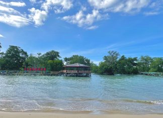 Didaulat Sebagai Program Terbaik, Ekowisata Mangrove Pertamina Diganjar Penghargaan Tingkat Internasional