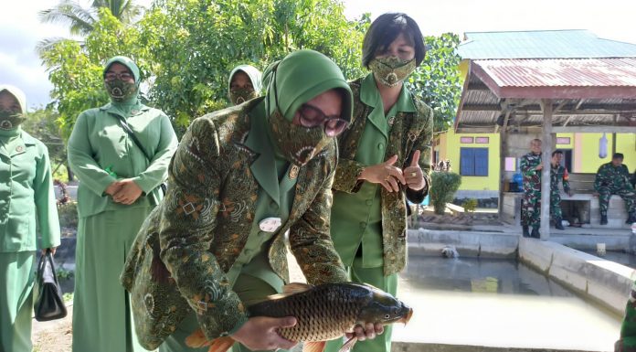 Kodim 1801/Manokwari dan Persit KCK Cab XII Panen Ikan Petani Binaan