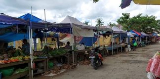 Mama Papua Tempati Lahan PD Muhamadiyah, KUD Tani Makmur Disebut Pelaku Begal