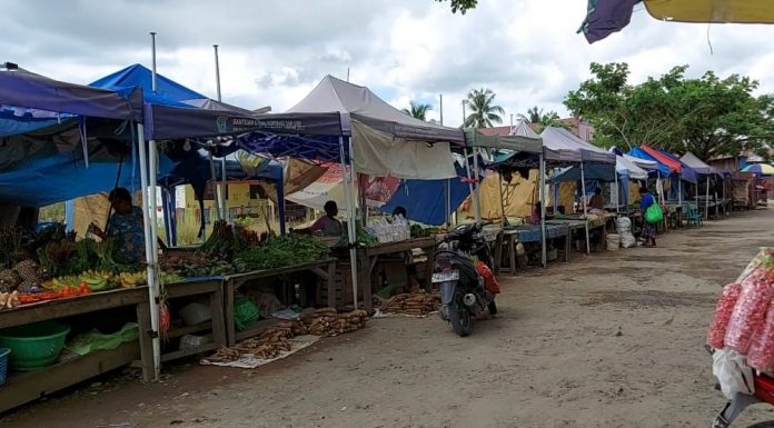 Mama Papua Tempati Lahan PD Muhamadiyah, KUD Tani Makmur Disebut Pelaku Begal