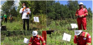 Area Sumur Petrogas di Sorong Ditanami Mangrove