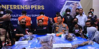 Tiga Orang Jadi Tersangka Penjual Kulit Harimau Sumatera di Bener Meriah Aceh