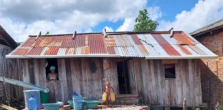 DOB Papua Tak Terbukti Sejahterakan Masyarakat