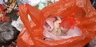 Dibungkus Plastik, Bayi Mungil Dibuang di Bak Sampah Pasar Mariat