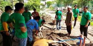 Pekerja Pertamina EP Papua Field Patungan Beli Sapi Kurban, Dibagi ke Warga Kokoda