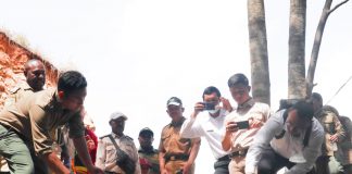 Kakatua Raja Bukti Kejahatan terhadap Satwa, Dilepaskan di CA Pegunungan Cycloop Papua