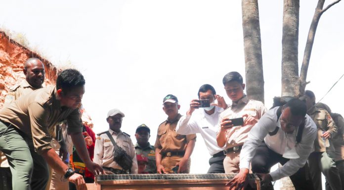 Kakatua Raja Bukti Kejahatan terhadap Satwa, Dilepaskan di CA Pegunungan Cycloop Papua
