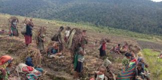 Pemkab Lanny Jaya Aktifkan Posko Tangani Bencana Kekeringan