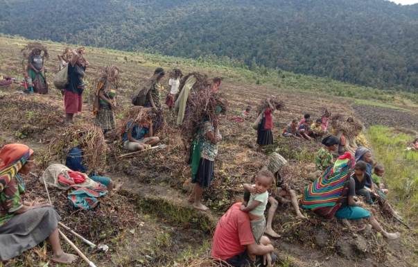 Pemkab Lanny Jaya Aktifkan Posko Tangani Bencana Kekeringan