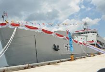 KRI Teluk Lada 521 Diduga Jadi Armada Menyelundupkan Ratusan Satwa Endemik Papua