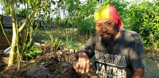 Mbah Gimbal, Anak Tentara yang Jadi Pejuang Lingkungan Itu Telah Pergi