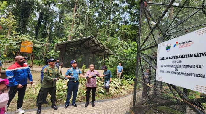 Dukung Pencapaian ESG, Kilang Pertamina Internasional Gandeng BBKSDA Lestarikan Satwa Endemik Papua Barat