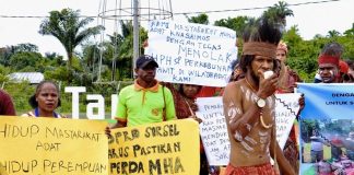 Bersekutu Menjaga Hutan dari Agresi Kebun Sawit