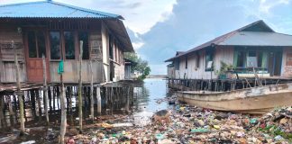Bahaya! Perairan Kota Sorong Terkontaminasi Mikroplastik