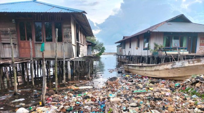 Bahaya! Perairan Kota Sorong Terkontaminasi Mikroplastik