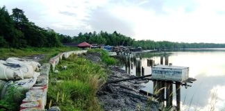 Sumuri Yang Tertinggal, Bupati dan Anggota Dewan Teluk Bintuni Pergi Kemana?