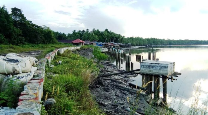 Sumuri Yang Tertinggal, Bupati dan Anggota Dewan Teluk Bintuni Pergi Kemana?