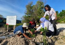 Tanam 10.000 Mangrove, PHE OSES Hijaukan Pesisir Lampung Timur