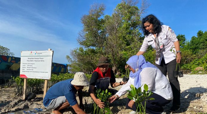 Tanam 10.000 Mangrove, PHE OSES Hijaukan Pesisir Lampung Timur