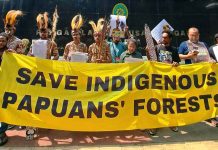 Pertahankan Hutan Adat, Suku Awyu Papua Selatan Ajukan Permohonan Intervensi ke PTUN Jakarta