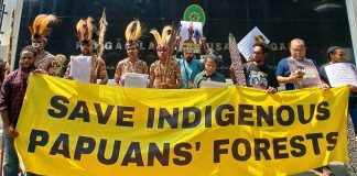 Pertahankan Hutan Adat, Suku Awyu Papua Selatan Ajukan Permohonan Intervensi ke PTUN Jakarta