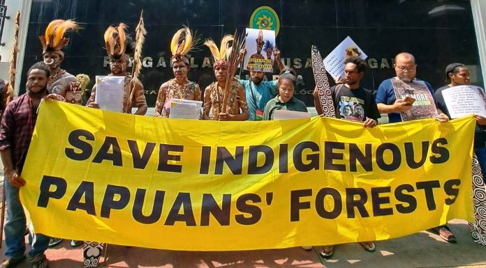 Pertahankan Hutan Adat, Suku Awyu Papua Selatan Ajukan Permohonan Intervensi ke PTUN Jakarta