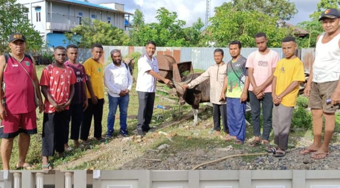 Ketua IKAL Jatim Teluk Bintuni Serahkan Sapi Kurban dari Paulus Waterpauw