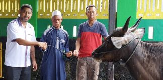 Bagikan Sapi Kurban, Anisto Berikan Contoh Toleransi Beragama di Teluk Bintuni
