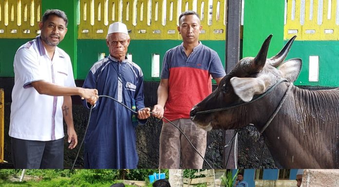 Bagikan Sapi Kurban, Anisto Berikan Contoh Toleransi Beragama di Teluk Bintuni