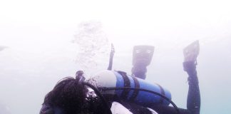 SKK Migas-Pertamina EP Papua Field Kembali Konservasi 40 m2 Terumbu Karang