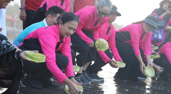 Lestarikan Ekosistem Laut, Bhayangkari Polri Lepas Tukik di Pantai Pangkung Tibah Tabanan Bali