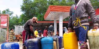 Memburu Si Biru di Daerah Tertinggal