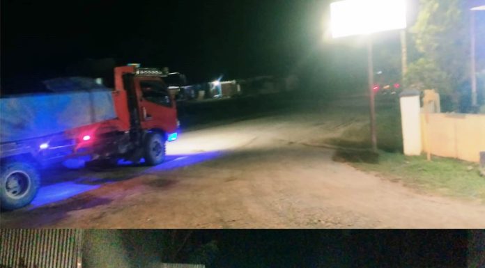 Belasan Truk Pengangkut Kayu Merbau Diduga Ilegal, Bebas Melintas di Depan Mapolsek Salawati