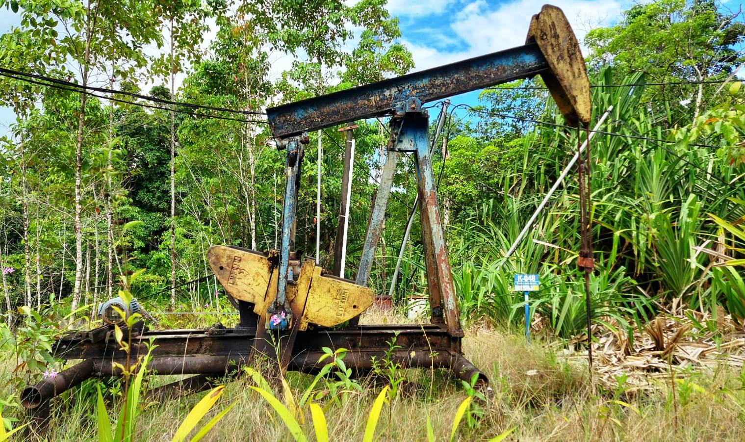 Sumur Merawat Sumur Tua, Menjaga Energi Masa Depan | portaljepe.id