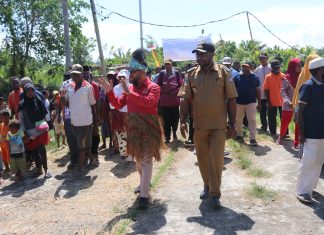 Papua Barat Terima DAU Pendidikan Rp 48,4 Miliar, Senator Filep: Bisa Membiayai Pendidikan Gratis Anak OAP