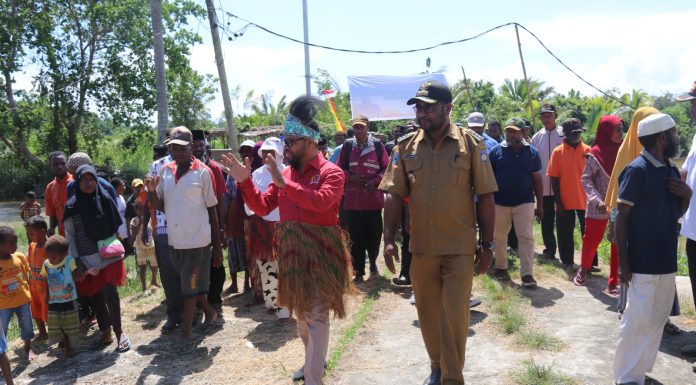 Papua Barat Terima DAU Pendidikan Rp 48,4 Miliar, Senator Filep: Bisa Membiayai Pendidikan Gratis Anak OAP