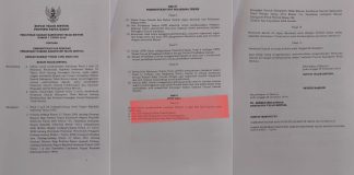 Jumlah Staf Ahlinya Nyaris Selusin, Bupati Teluk Bintuni Diduga Tabrak Perda Perangkat Daerah