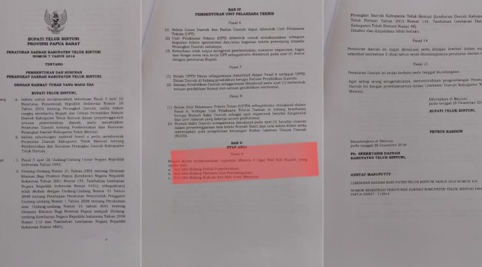 Jumlah Staf Ahlinya Nyaris Selusin, Bupati Teluk Bintuni Diduga Tabrak Perda Perangkat Daerah