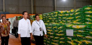 Kunjungi Papua, Jokowi Cek Persediaan Beras di Gudang Bulog