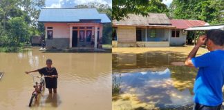 Puluhan Rumah Terendam Banjir, Kepala Kampung Waraitama Teluk Bintuni Minta Bantuan BPBD
