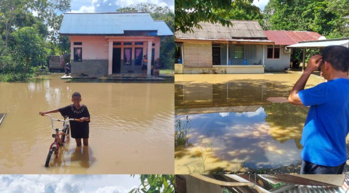 Puluhan Rumah Terendam Banjir, Kepala Kampung Waraitama Teluk Bintuni Minta Bantuan BPBD