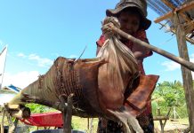 Merekam Jejak Pengolah Sagu di Kampung Klayas